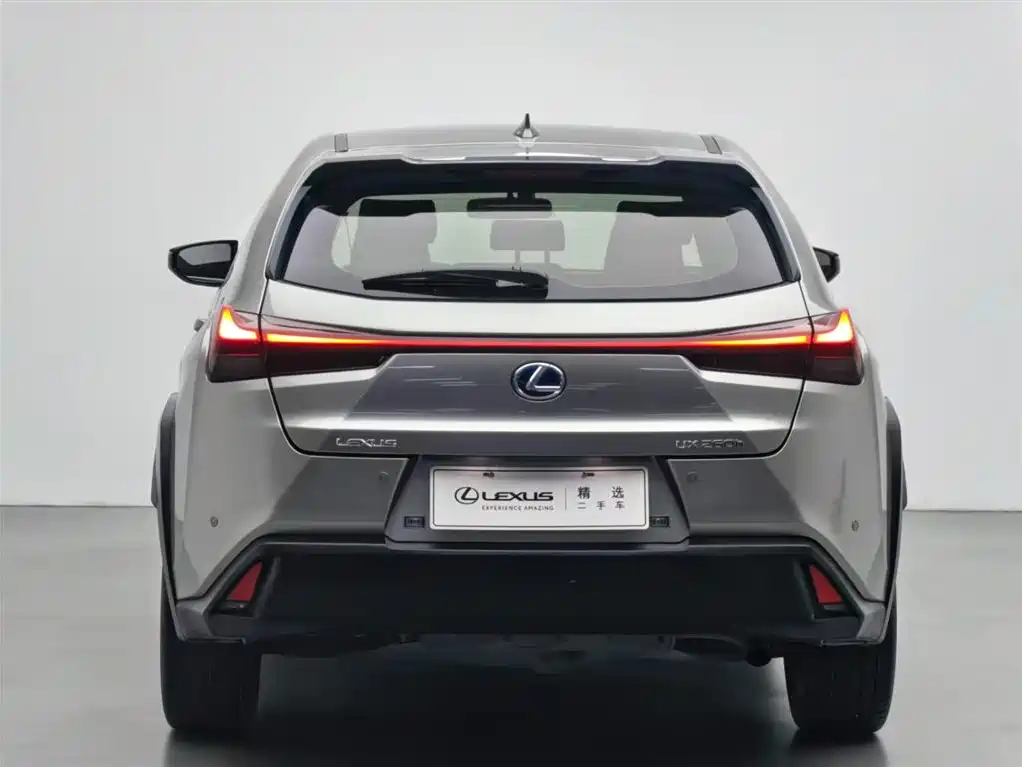 Lexus UX 2020 260h Explore Cool Edition фото 17