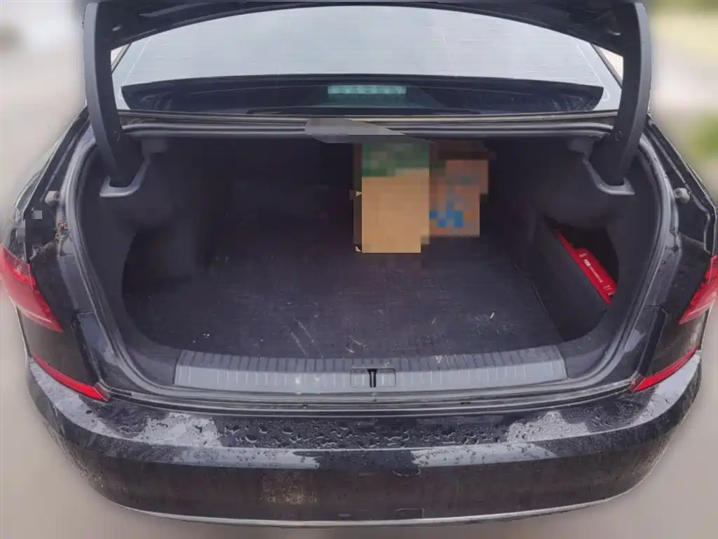 Volkswagen Passat 2025 Outstanding 330TSI Starlight Elite Edition фото 10