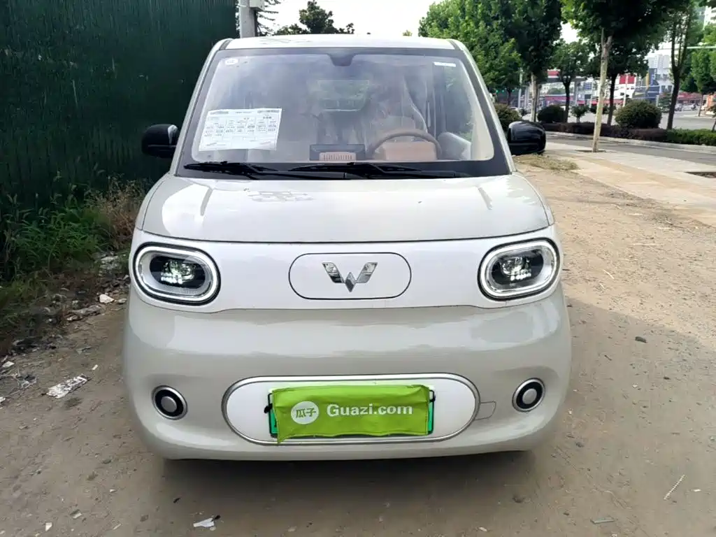 Фото 3 - Wuling Motors Hongguang MINIEV