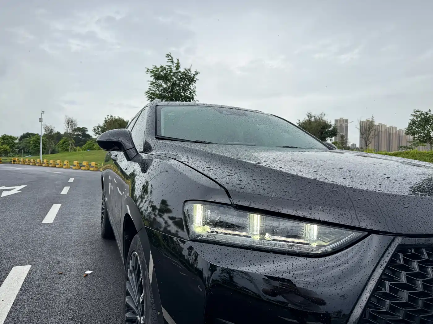 WEY P8 2018 2018 2.0T Flagship Model