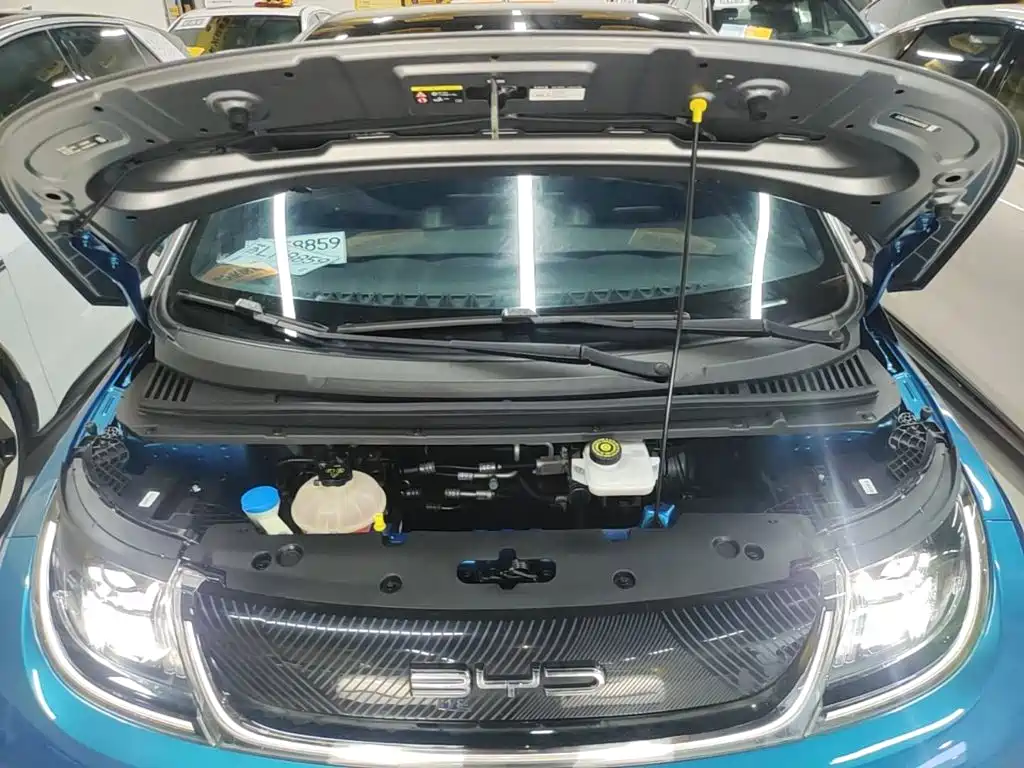 Photo 20 - BYD Dolphin