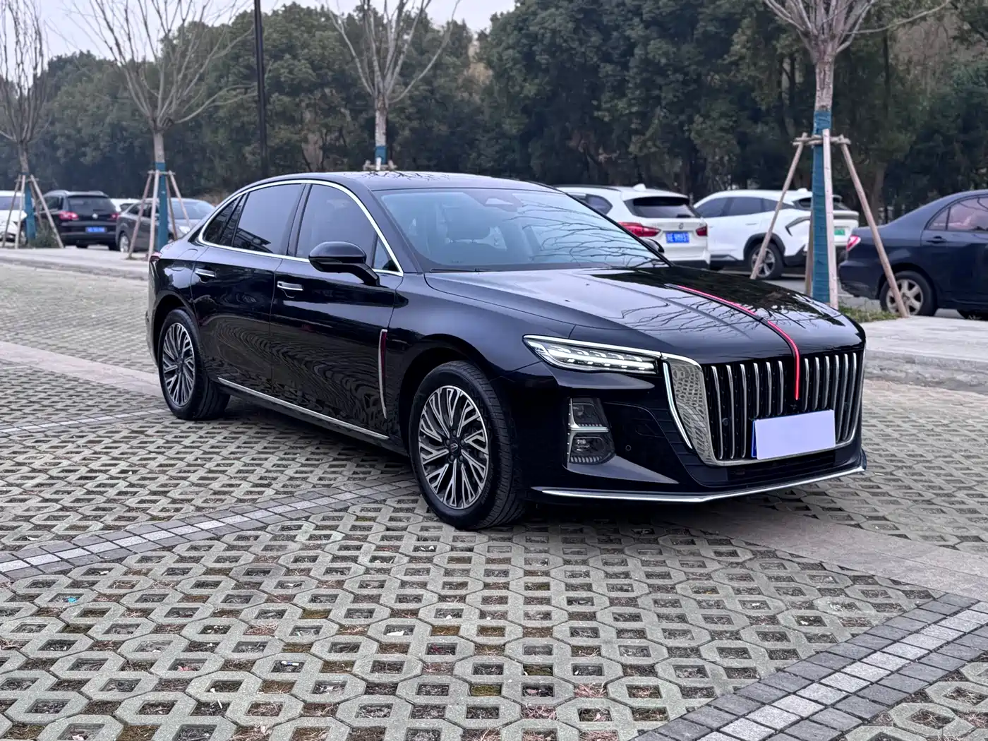 Hongqi H5 2024 2.0T Automatic Smart Connect Flag Smooth Edition фото 3