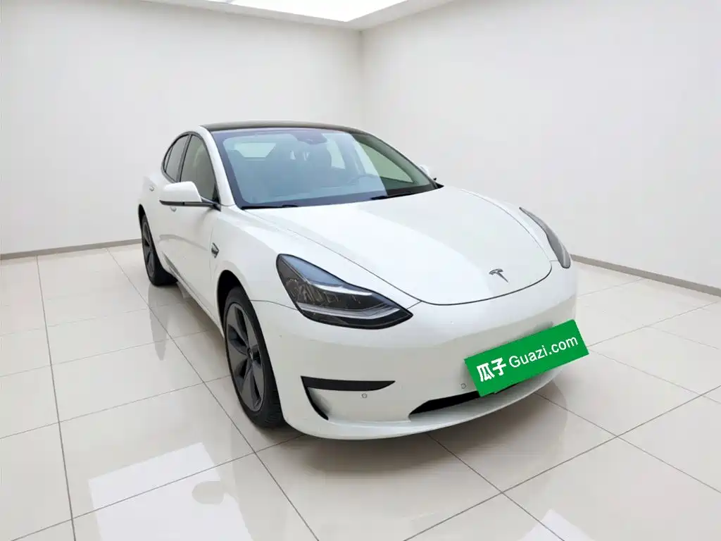 Tesla Model 3 2020 2019 Standard Range Rear-Wheel Drive Upgrade