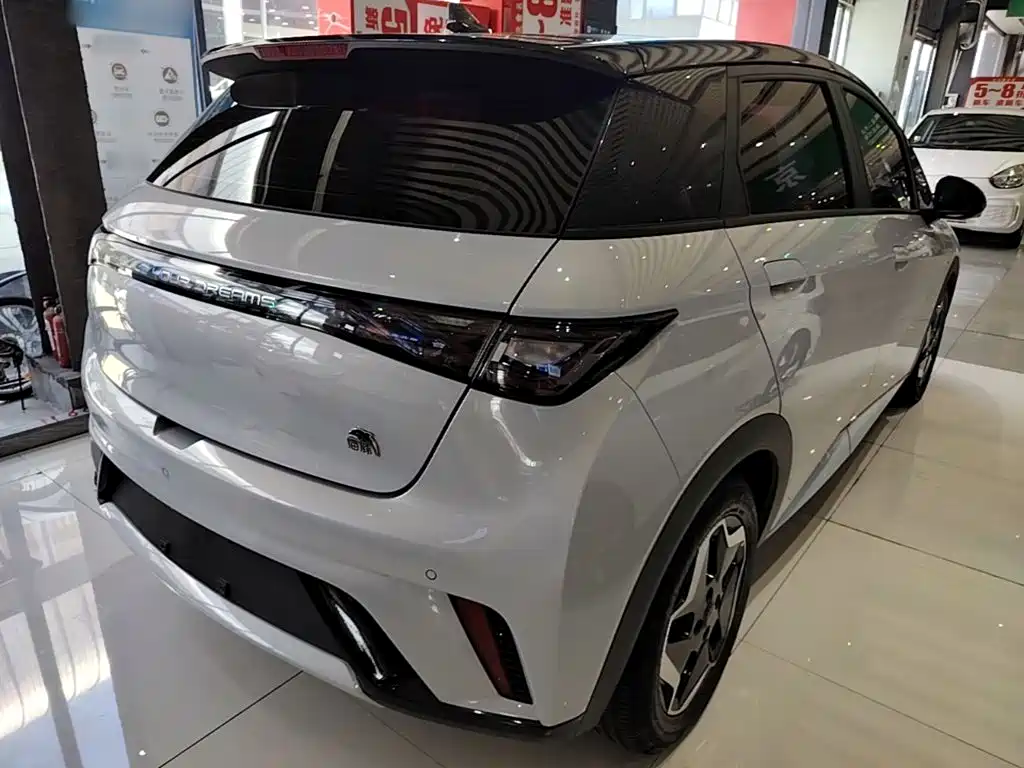 BYD Dolphin 2021 2021 Model 405km Fashion Edition