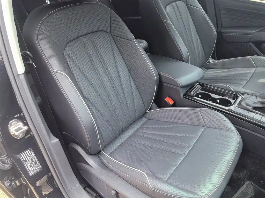 Volkswagen Passat 2024 380TSI Starlight Dragon Soaring Edition фото 20