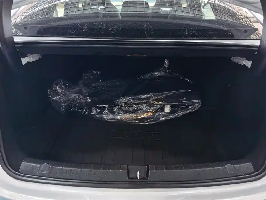 BYD Qin PLUS 2023 Champion Edition EV 420KM Leading Type фото 4