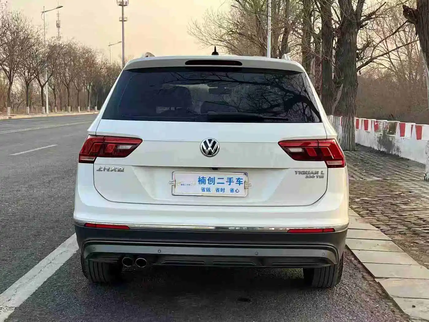 Volkswagen Tiguan L 2017 330TSI Automatic 2WD Luxury Edition фото 2