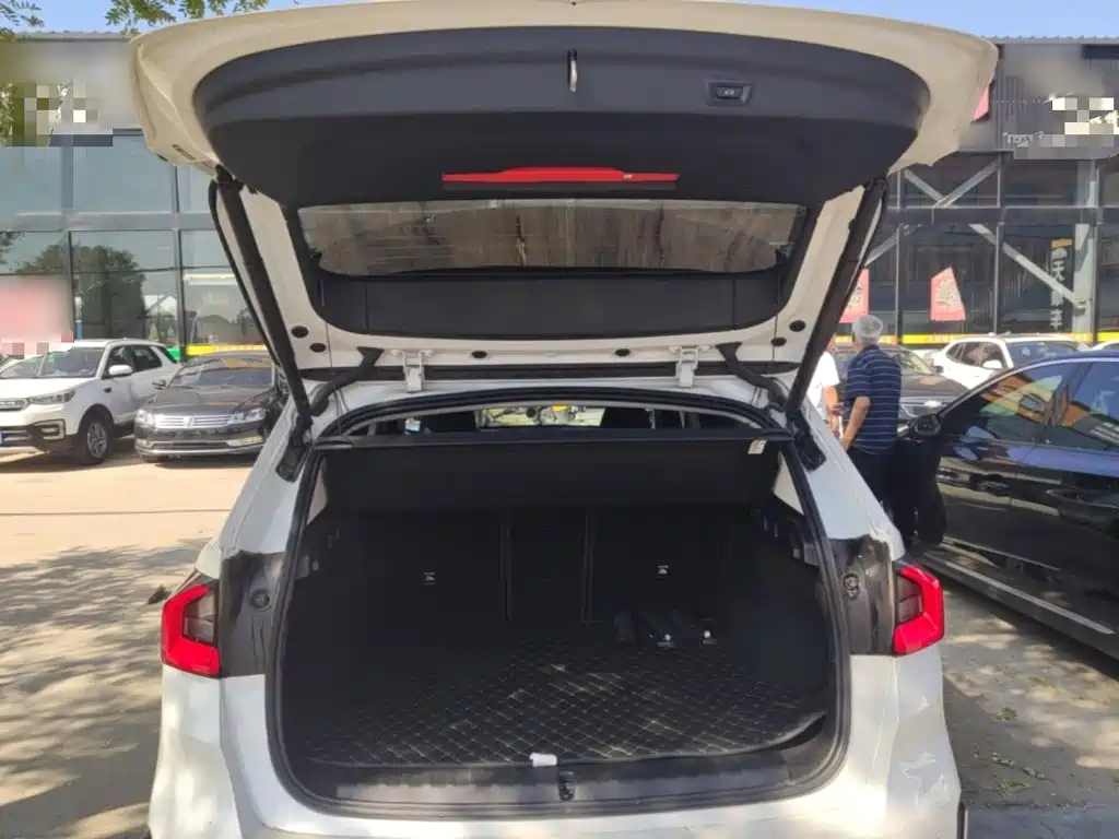 BMW X1 2025 2024 sDrive25Li X Design Package