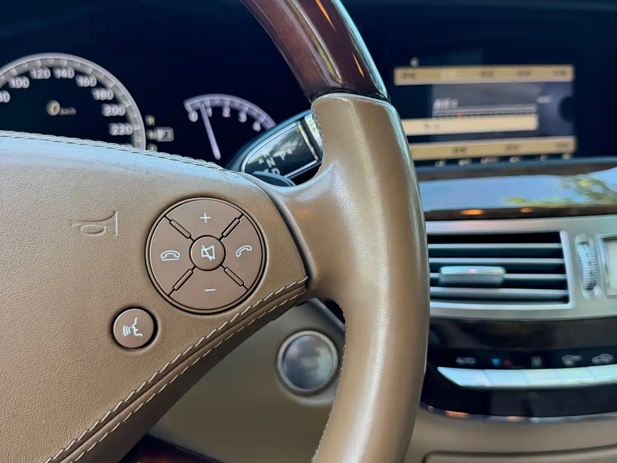 Mercedes-Benz S-Class 2010 S 300 L Premium фото 15