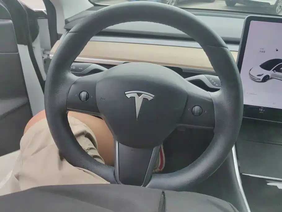Tesla Model 3 2020 2020 Standard Range Rear-Wheel Drive Upgrade