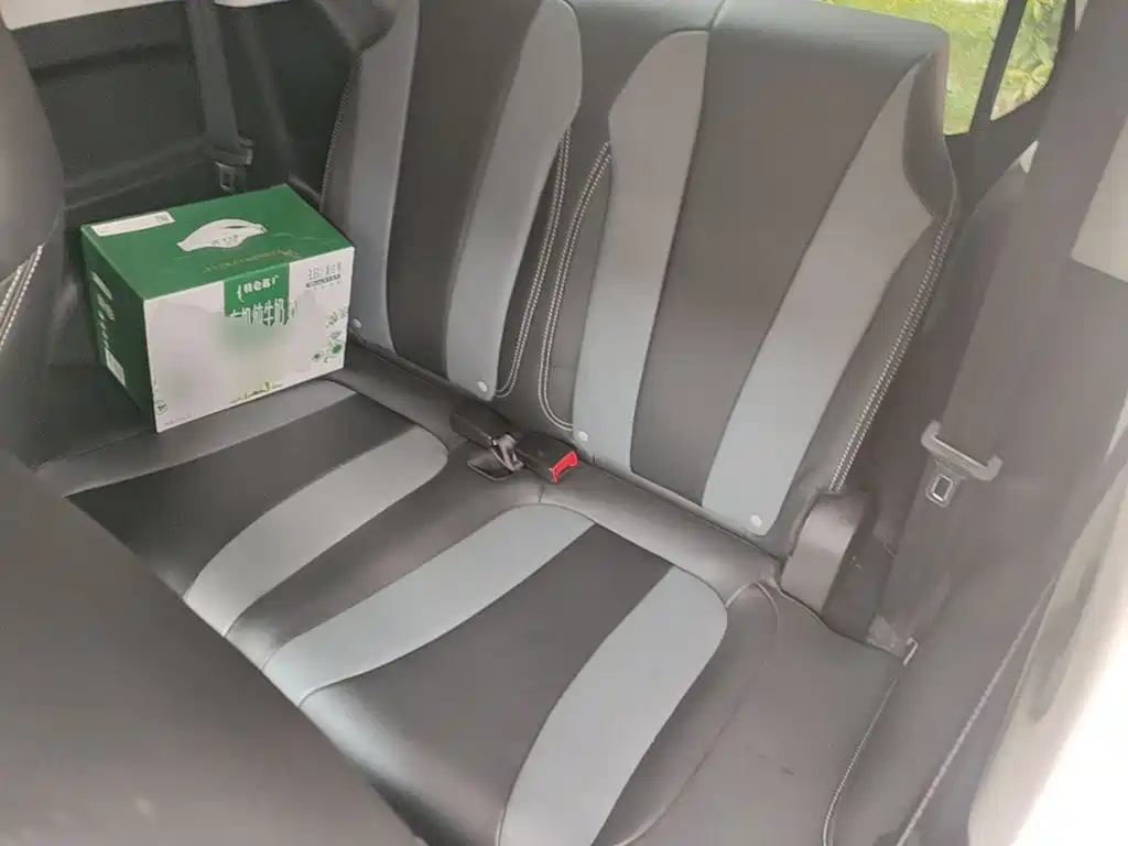 Roewe Kaiwei CLEVER 2023 2022 311km Vitality Bobo Edition