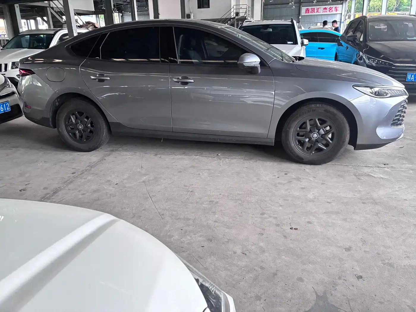 BYD Qin PLUS 2025 DM-i Smart Drive 55KM Leader фото 4