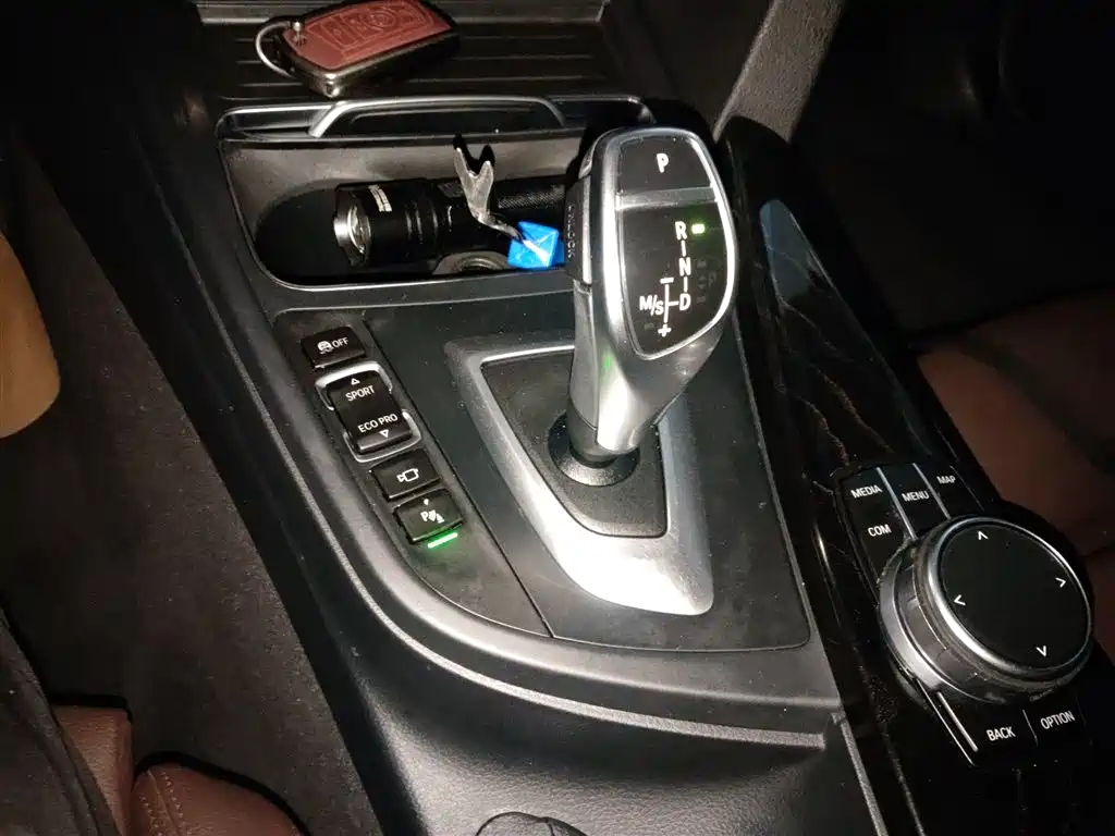 BMW 3 Series 2019 320Li M Sport Black Night Edition фото 10