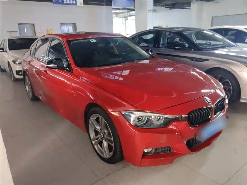 BMW 3 Series 2019 320Li M Sport Black Night Edition фото 22