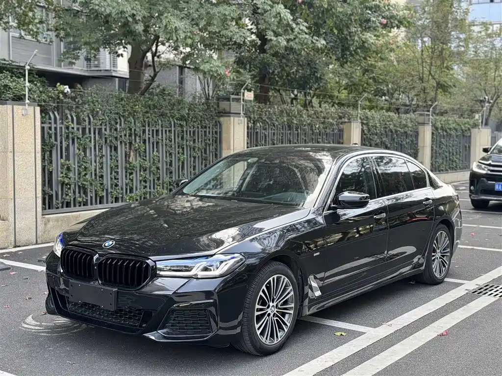 BMW 5 SERIES
