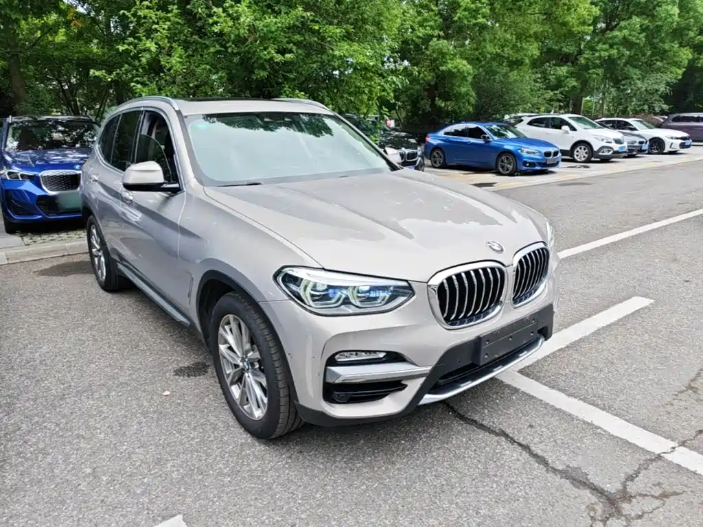 BMW X3 2018 2018 xDrive25i Luxury Package China V