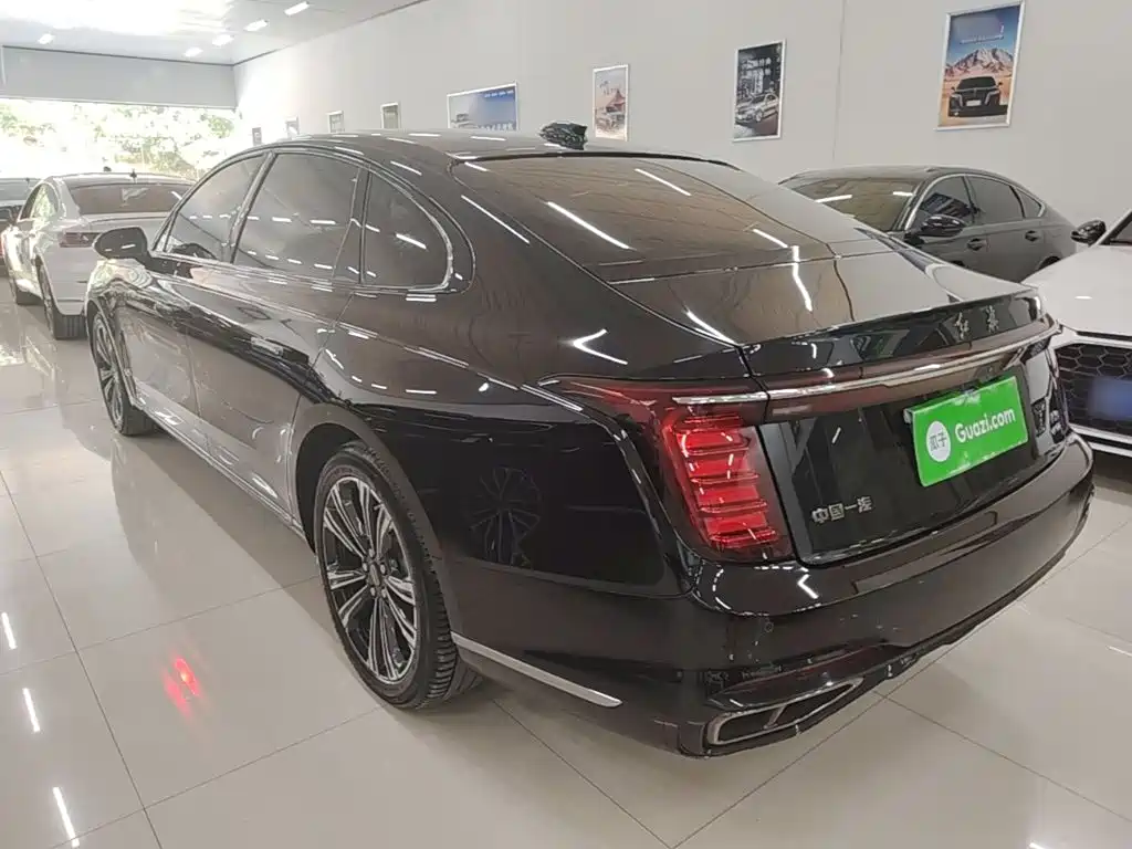 Hongqi H9 2025 2024 2.0T Qi Enjoy Private Fashion Edition
