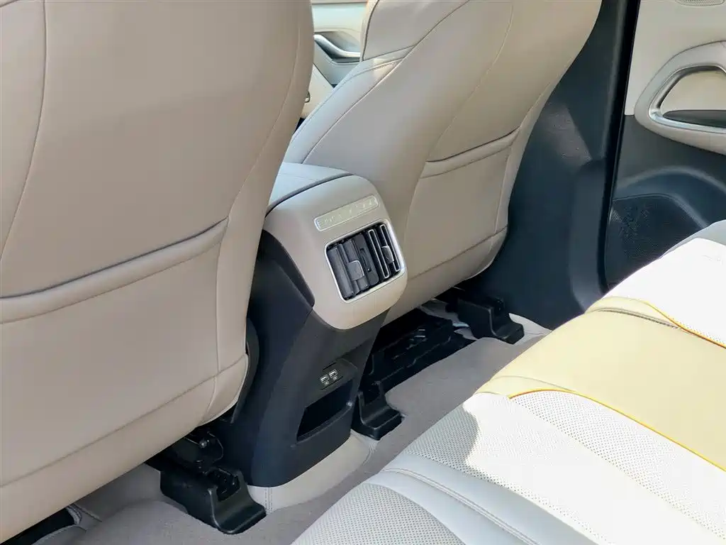 BYD Song Pro New Energy 2023 Champion Edition DM-i 110KM Excellence фото 9