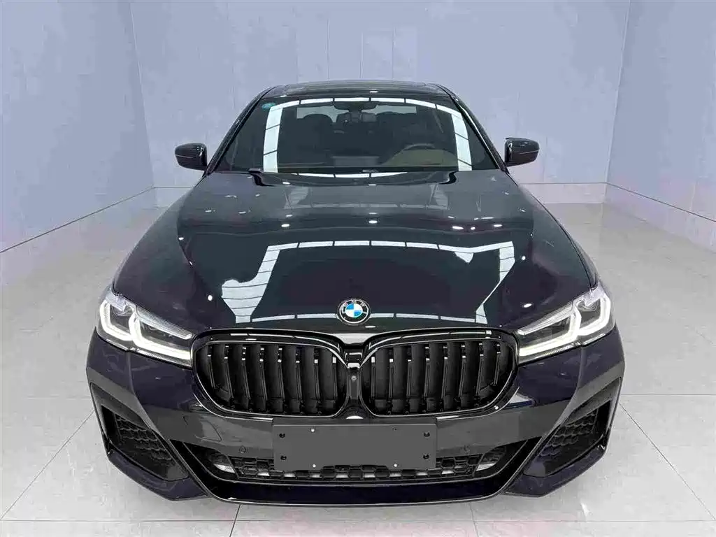 BMW 5 Series 2020 Model 530Li Executive M Sport Package фото 2