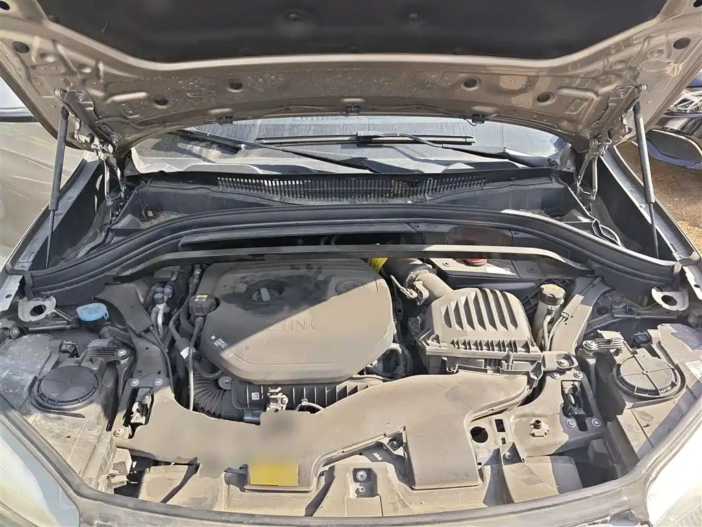 Zinoro 60H 2019 2017 Standard Model
