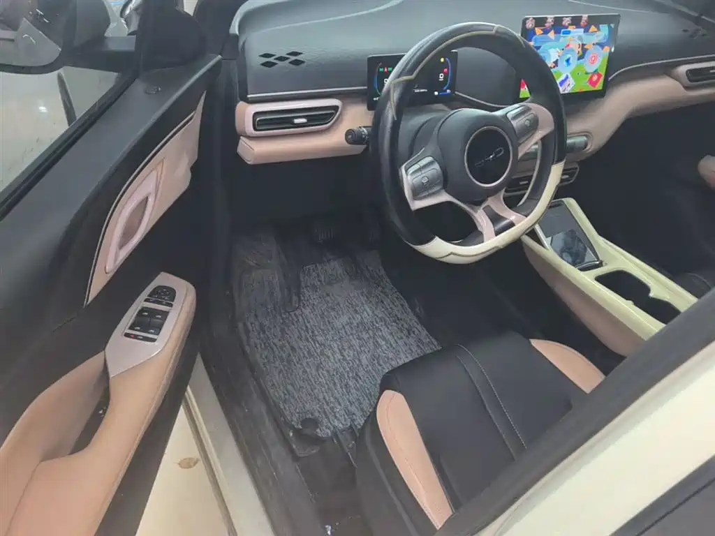 BYD Seagull 2024 Glory Edition 305km Vitality Edition фото 16