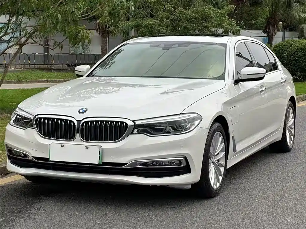 BMW 5 Series New Energy 2019 530Le Luxury Package фото 10