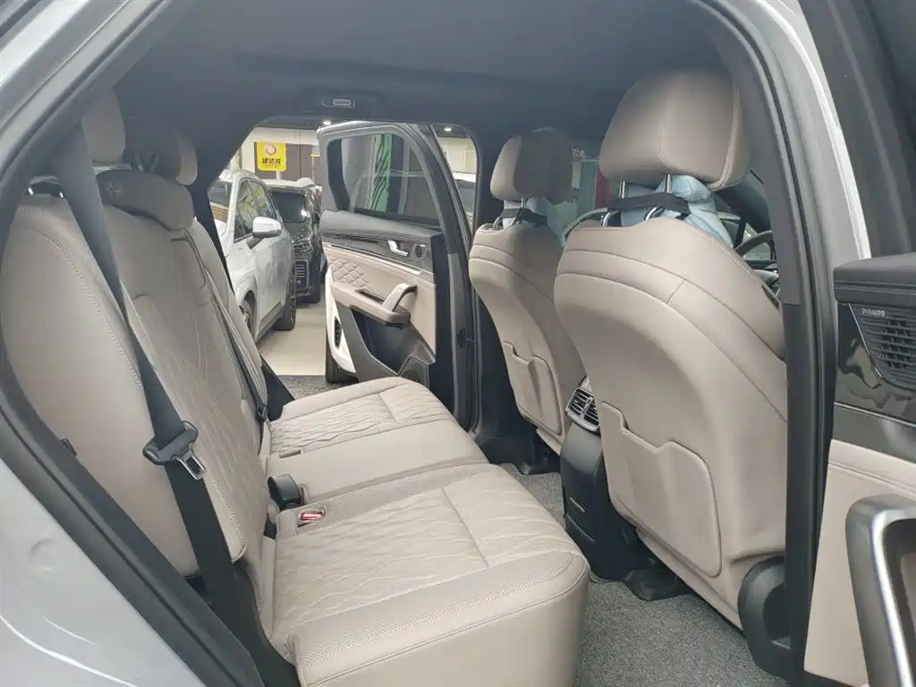 BYD Tang New Energy 2025 DM-i 115KM Flagship фото 4