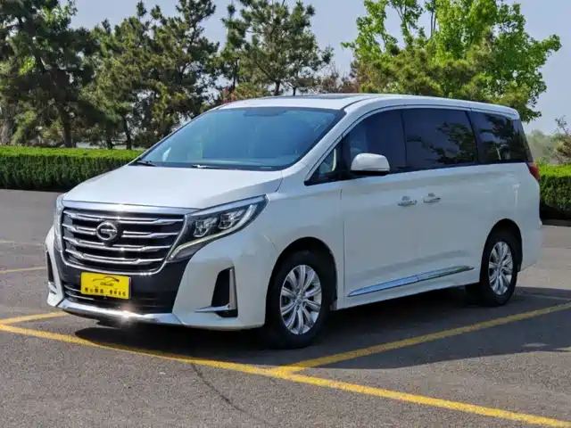 GAC Trumpchi M8 2020 Pilot 390T Premium Edition