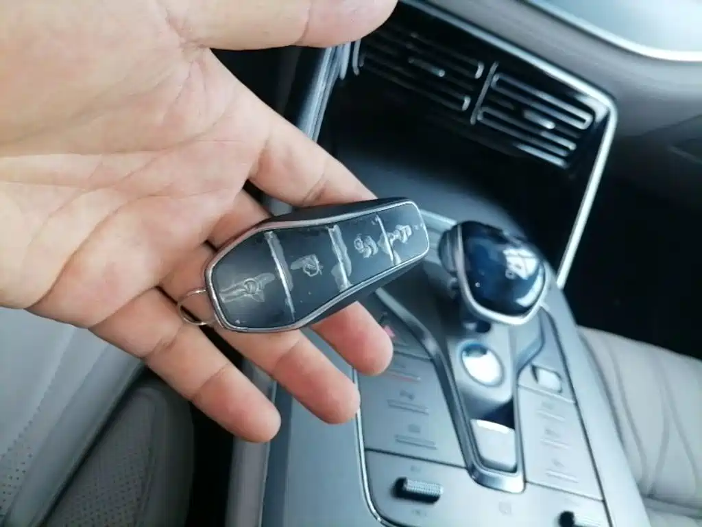 BYD Tang New Energy 2025 2025 Smart Driving Edition DM-i 115KM Flagship