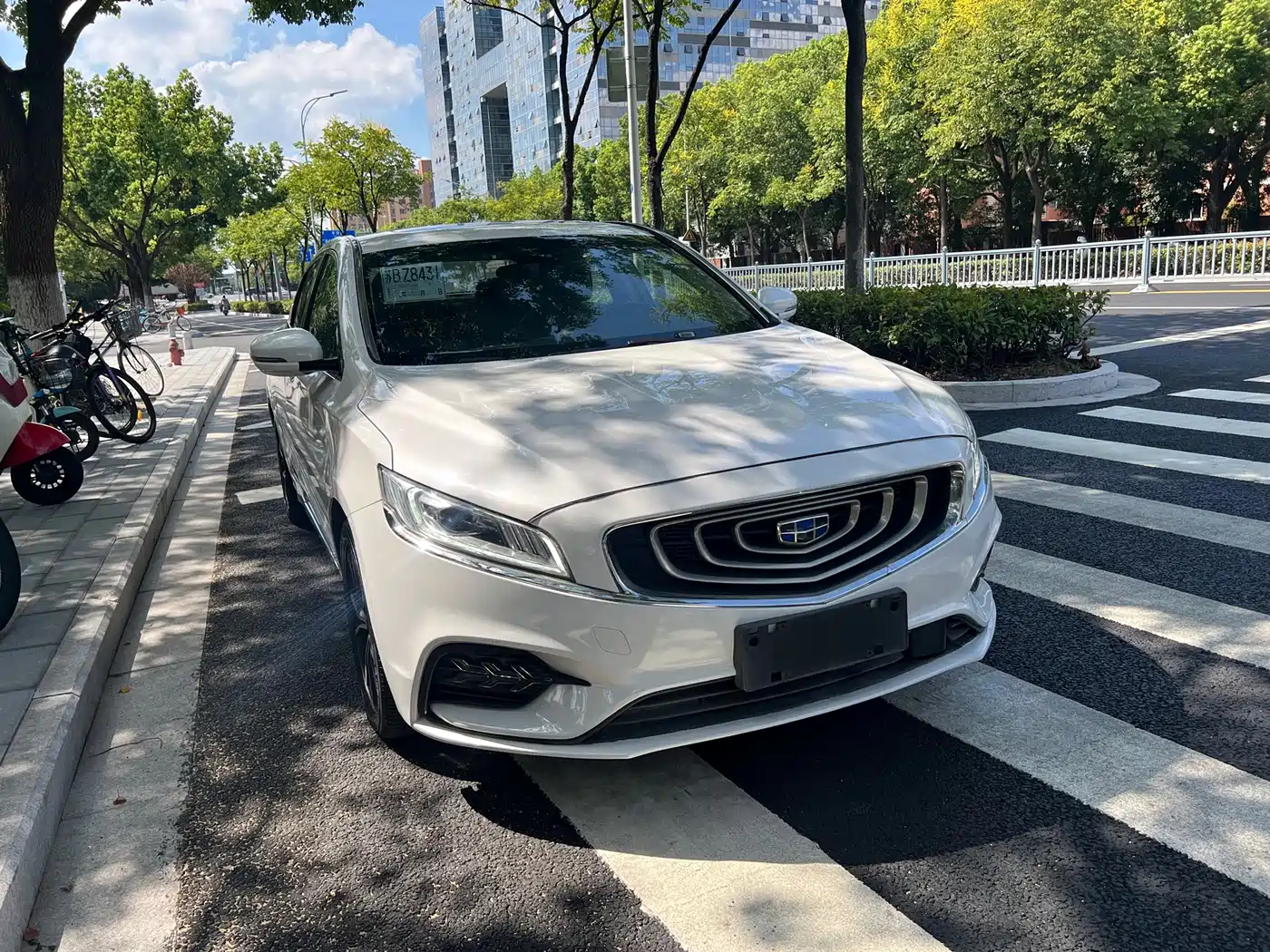 Фото 3 - Geely Borui