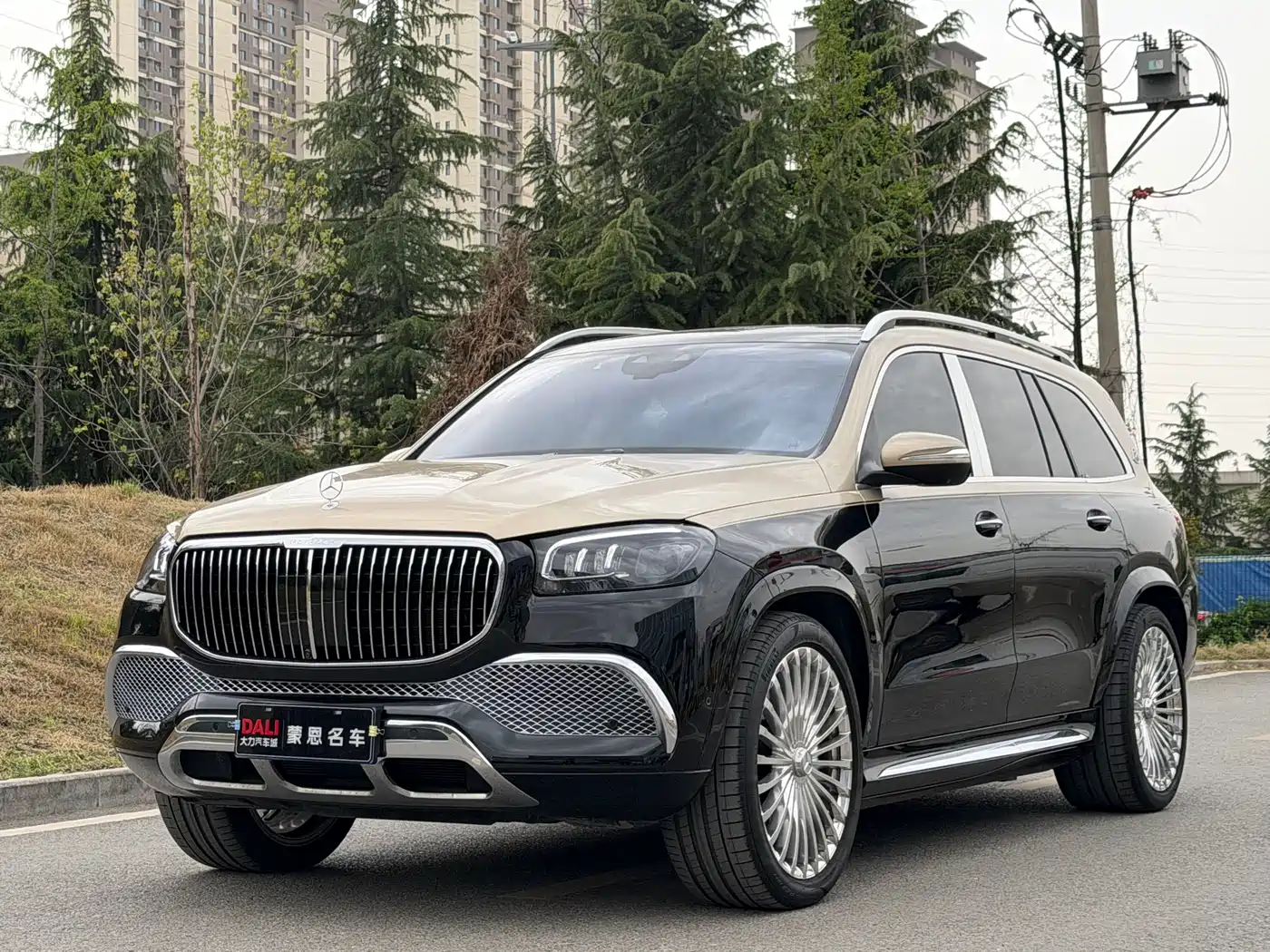 MERCEDES-BENZ MAYBACH GLS