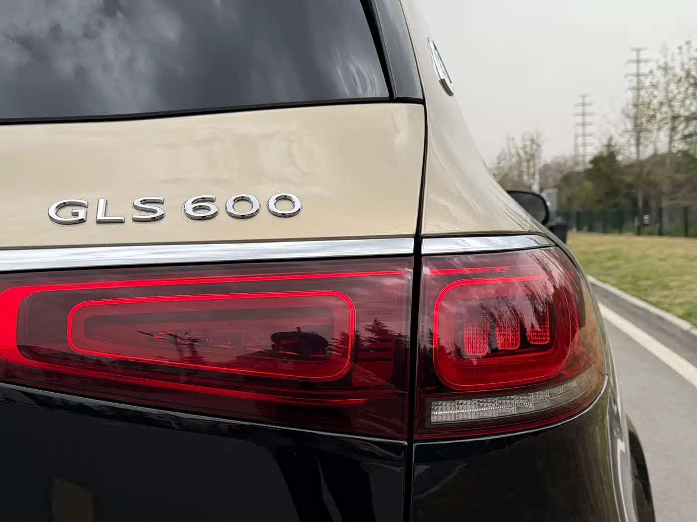 Mercedes-Benz Maybach GLS 2021 GLS 600 4MATIC Etiquette Edition фото 21