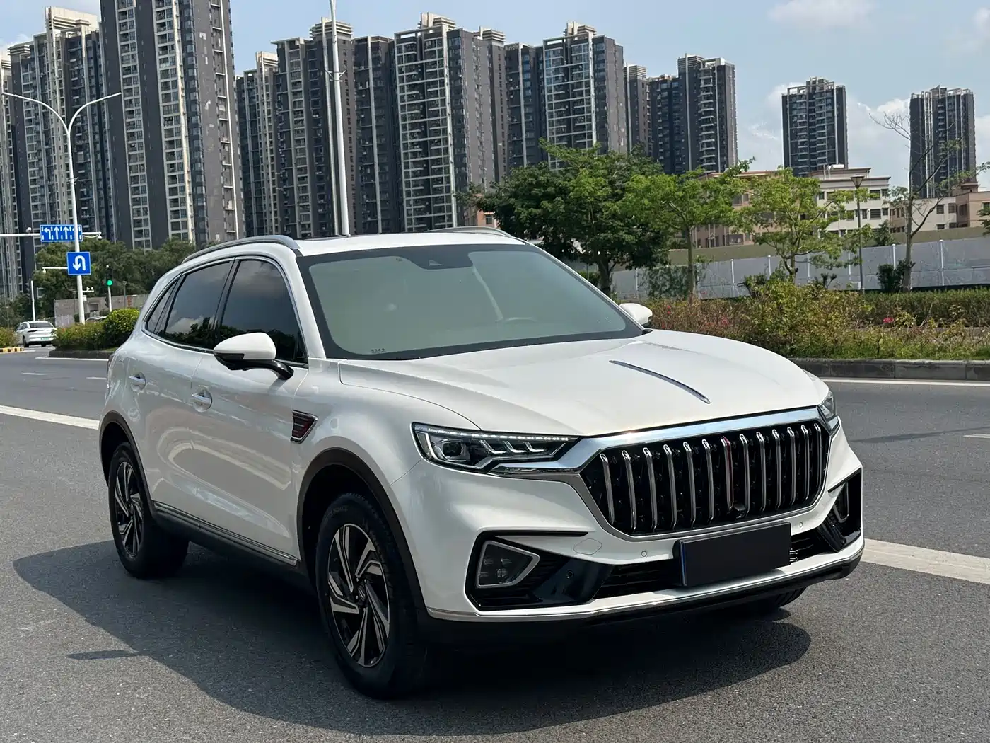 Hongqi HS5 2022 2.0T Smart Connect Premium Edition фото 3