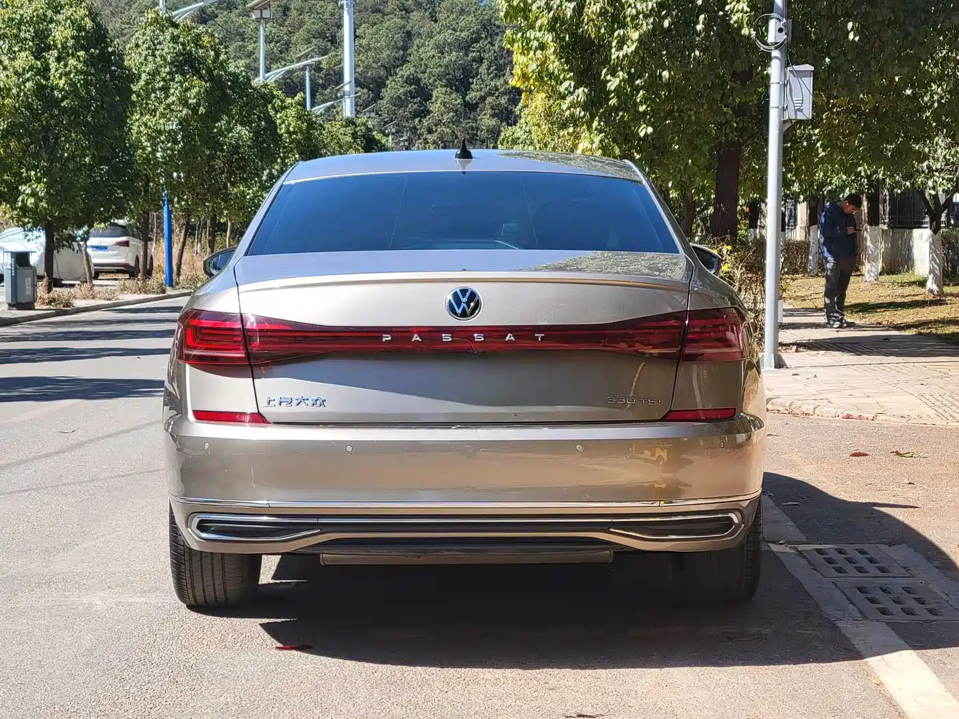 Volkswagen Passat 2022 330TSI Starlight Elite Edition фото 8