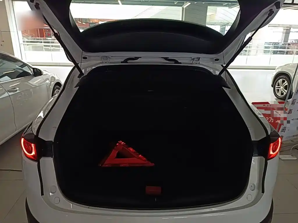 Фото 19 - Mazda CX-4