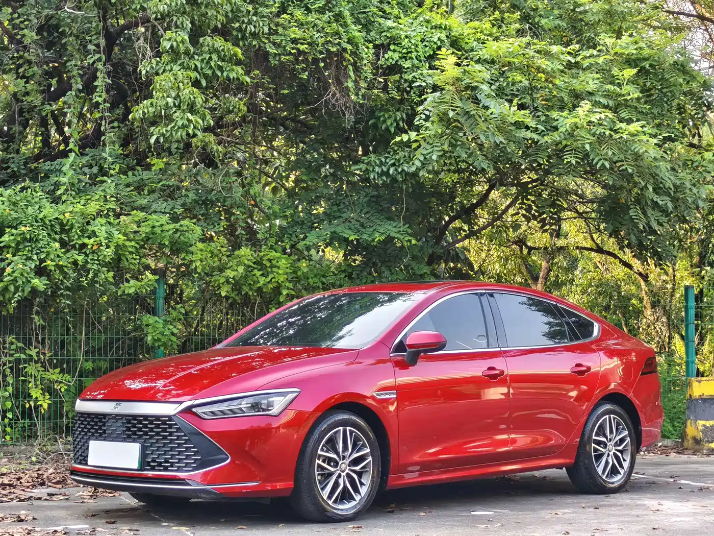 BYD Qin PLUS 2021