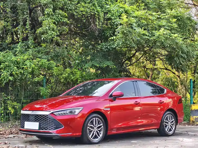 BYD Qin PLUS DM-i 55KM, Флагман