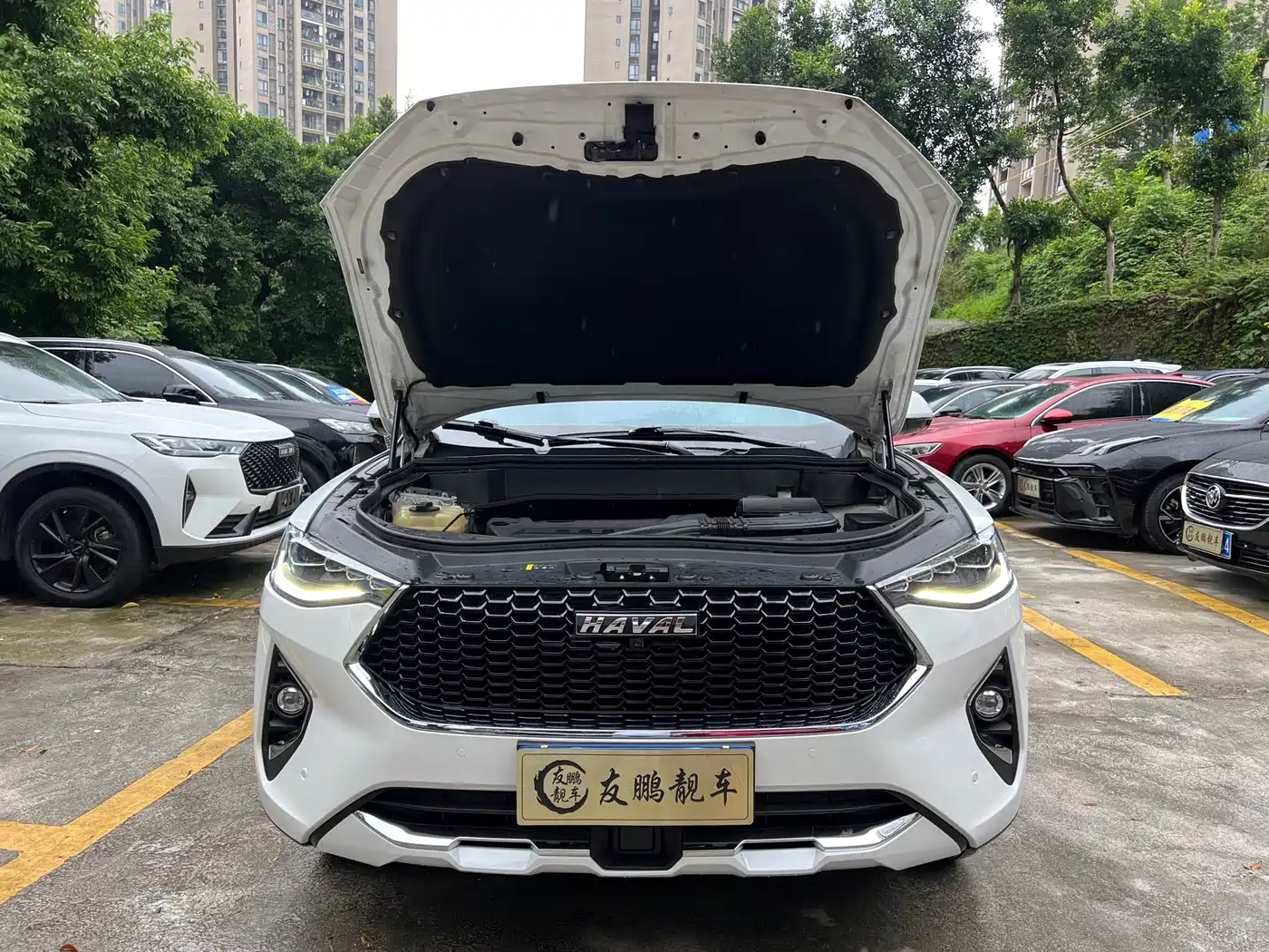 Haval F7 2019 2.0T 4WD i-Joy China VI фото 4