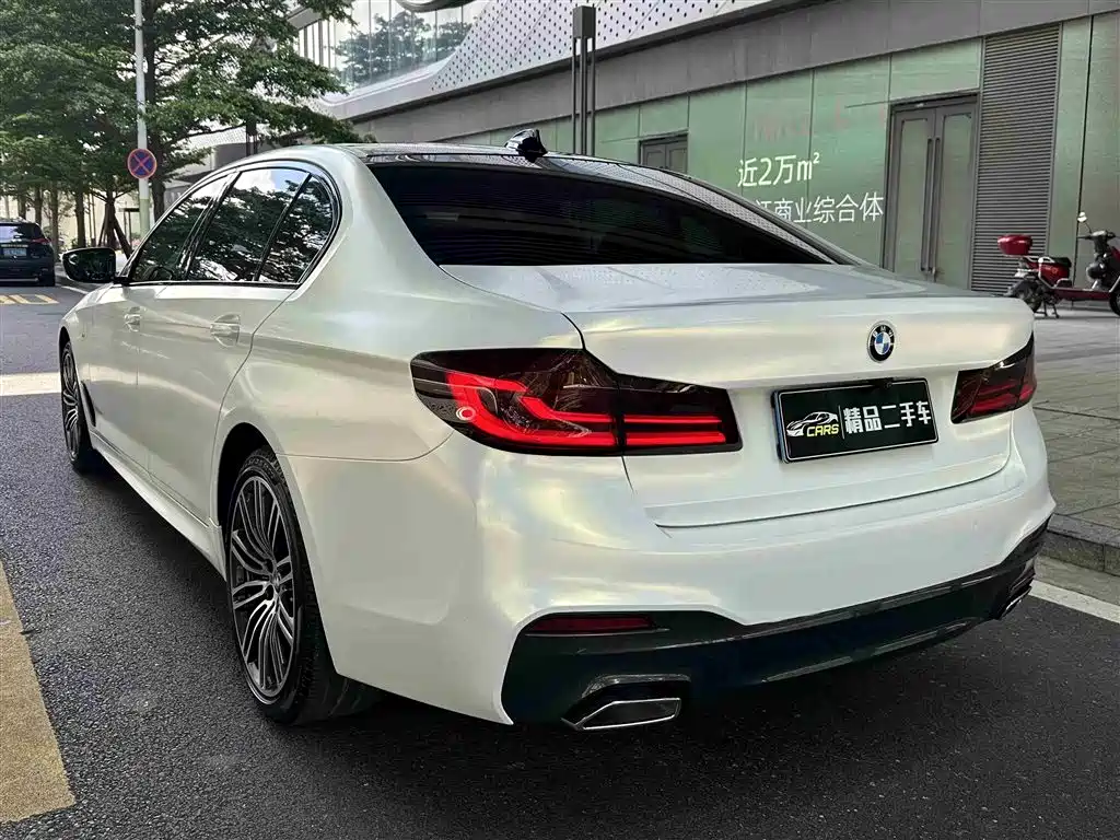 BMW 5 Series 2019 530Li Leading M Sport Package фото 9