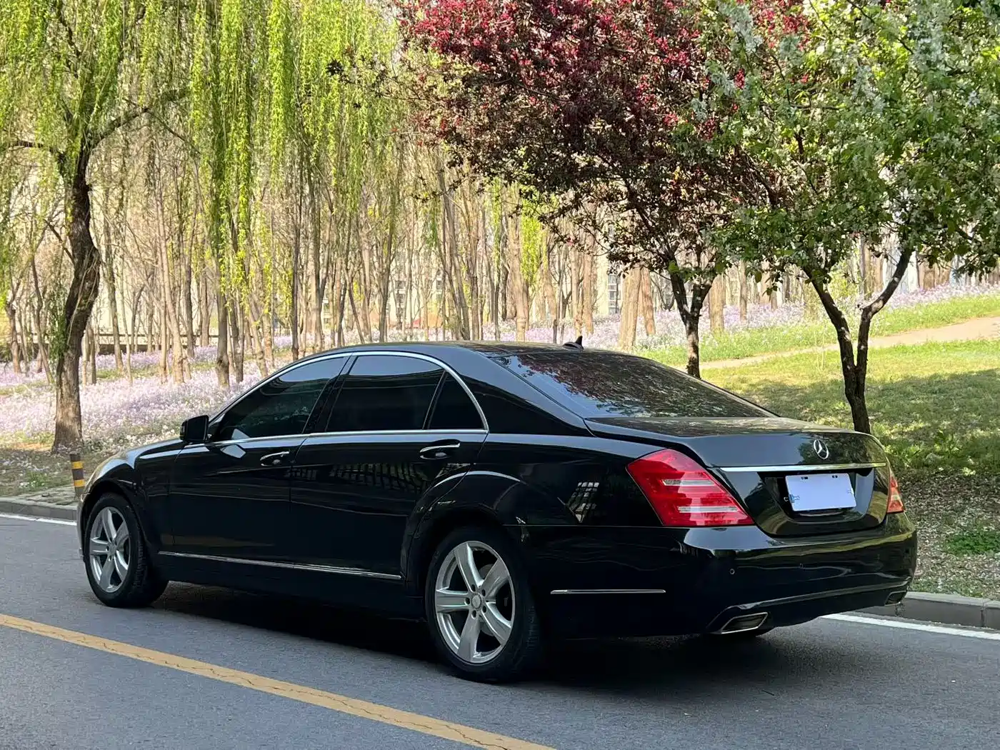 Mercedes-Benz S-Class 2010 S 300 L Luxury фото 9