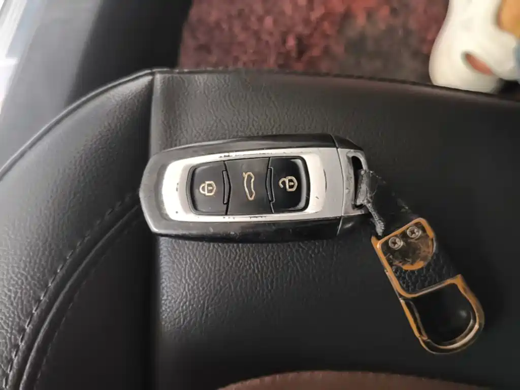 Фото 9 - Geely Vision