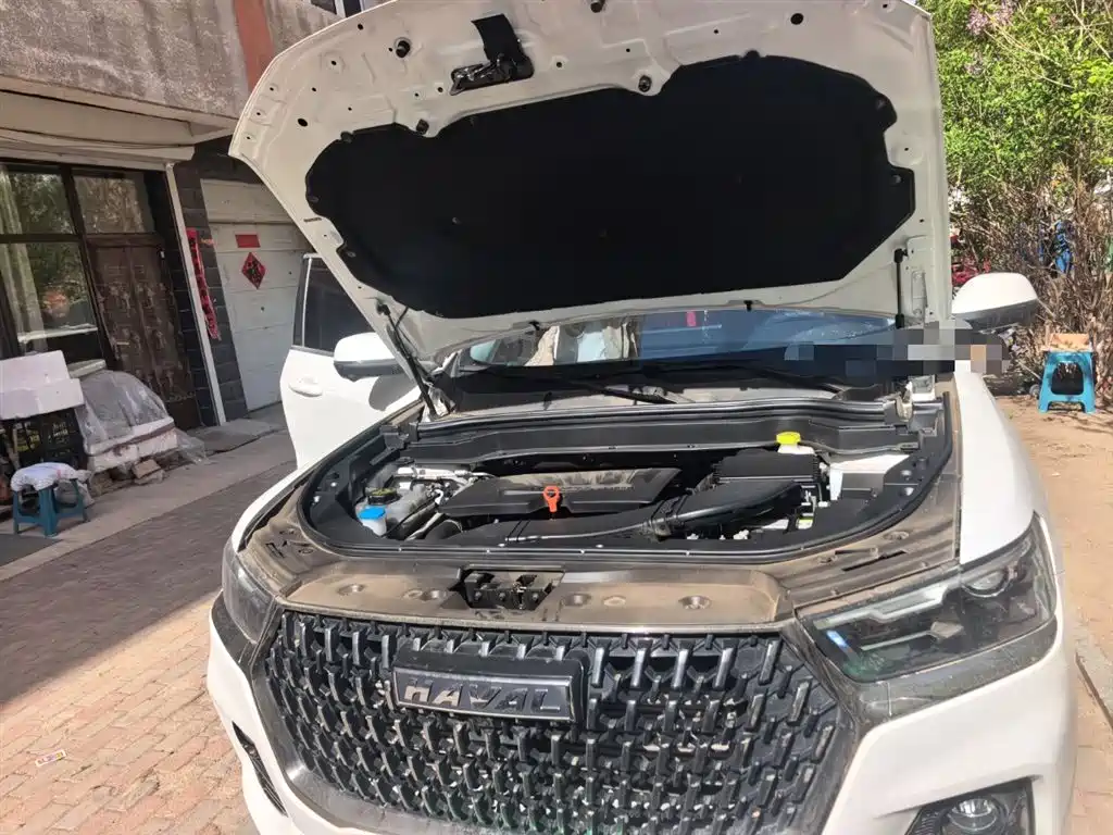 Haval H6 2022 3rd Gen 1.5T Auto 2WD Plus фото 11