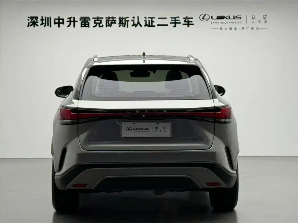 Lexus RX 2023 350h 2WD Comfort Edition фото 16