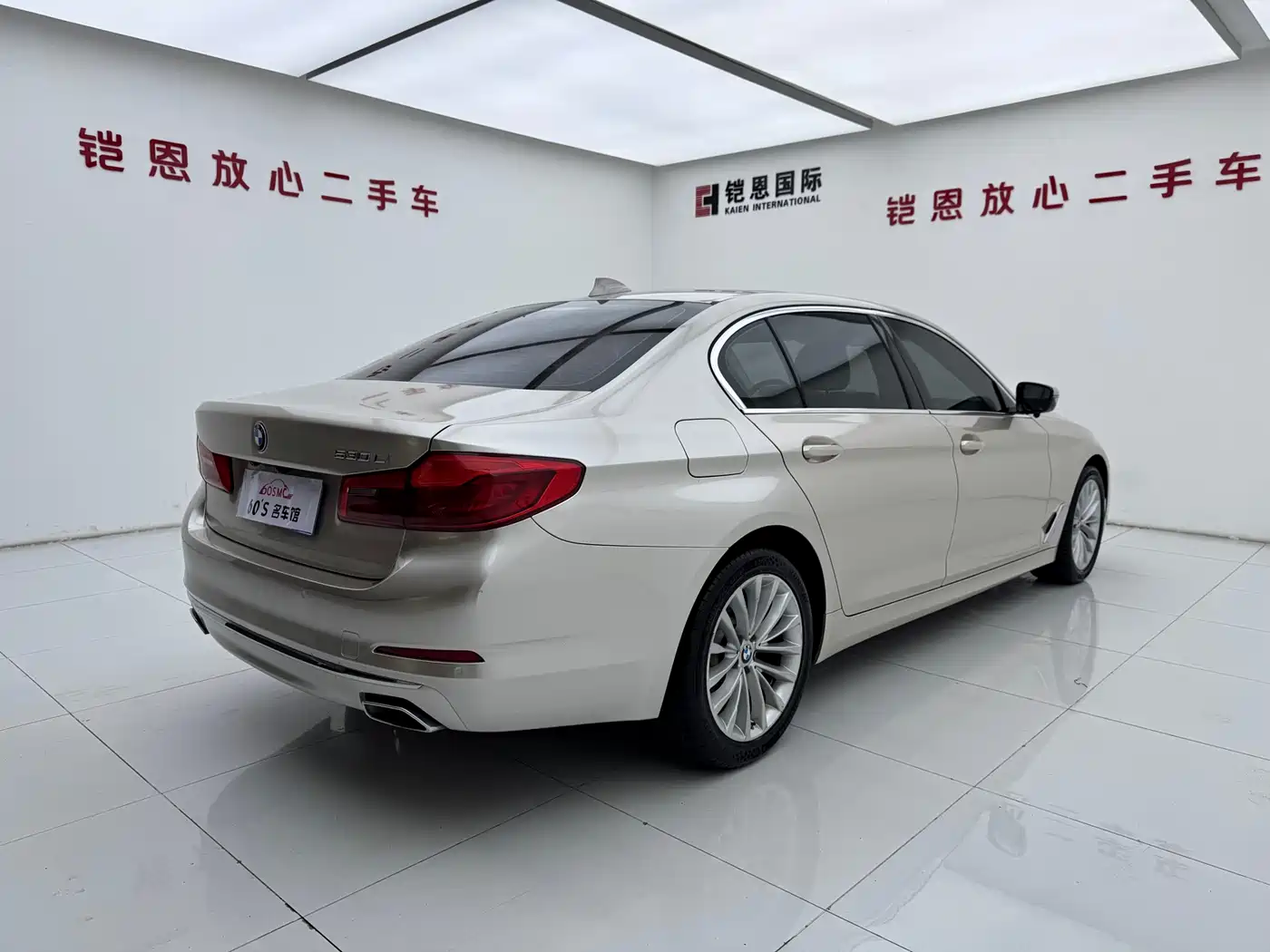 BMW 5 Series 2020 530Li Leading Luxury Package фото 6