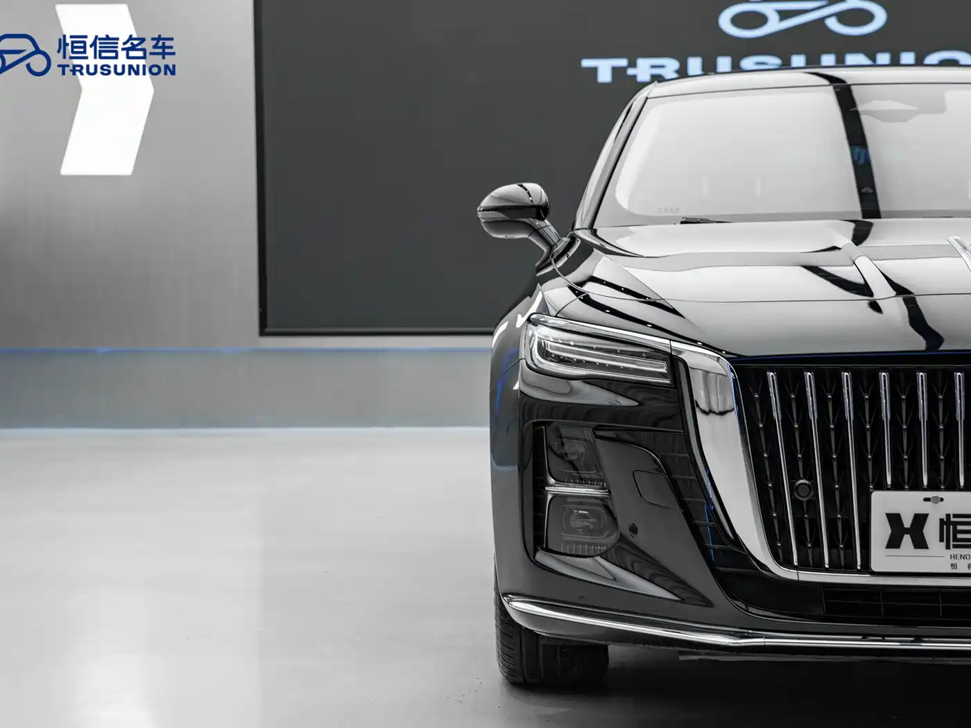 Hongqi H5 2023 2.0T Auto Smart Connect Flag Comfort фото 10