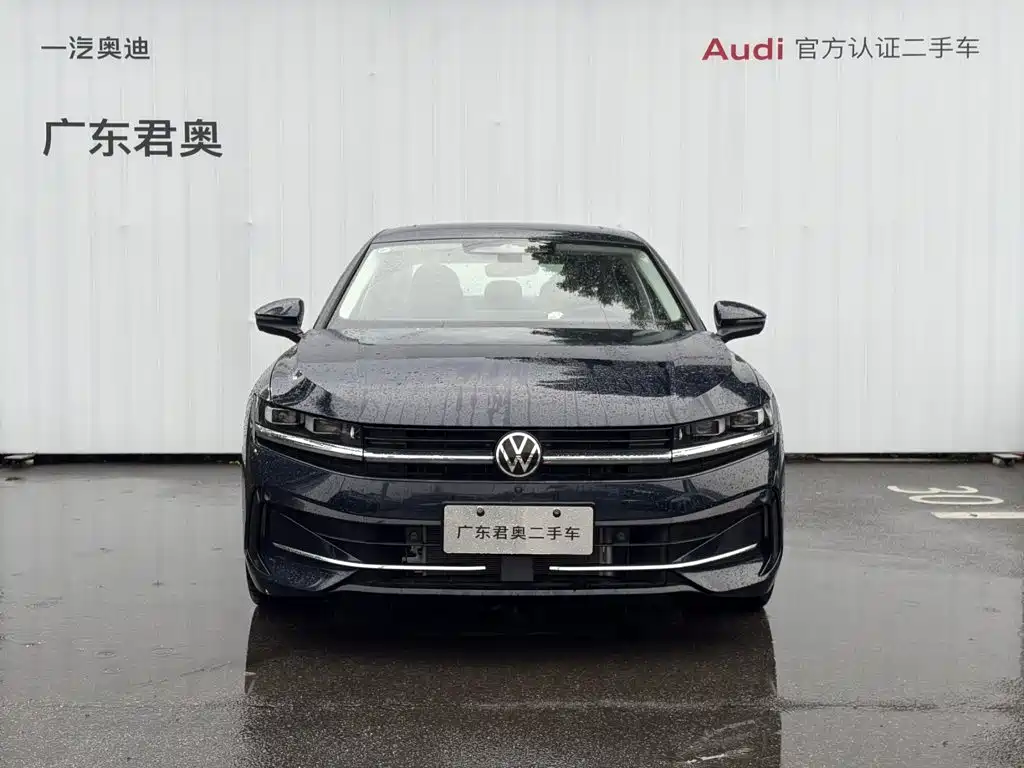 Volkswagen Magotan 2025 2024 380TSI DSG Ultimate Edition