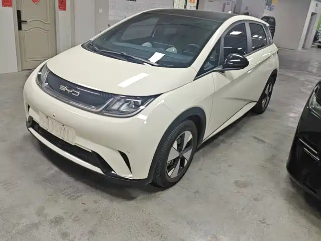 BYD Dolphin 420km, Стиль