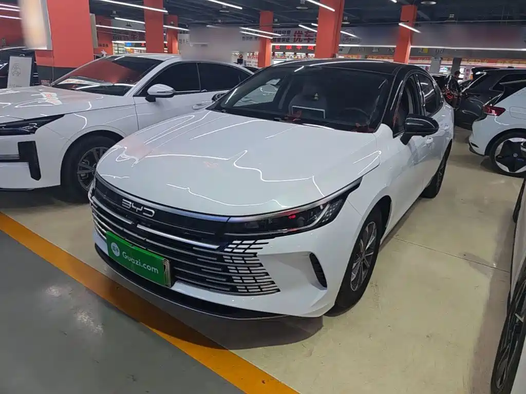 BYD Destroyer 05 2024