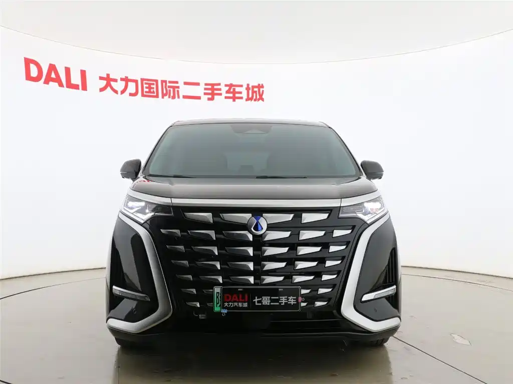 Denza D9 2024 DM-i 980 AWD Premium фото 2