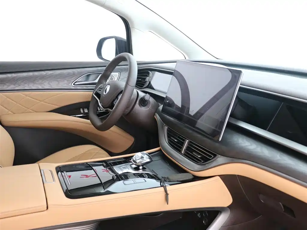 Denza D9 2024 DM-i 980 AWD Premium фото 12